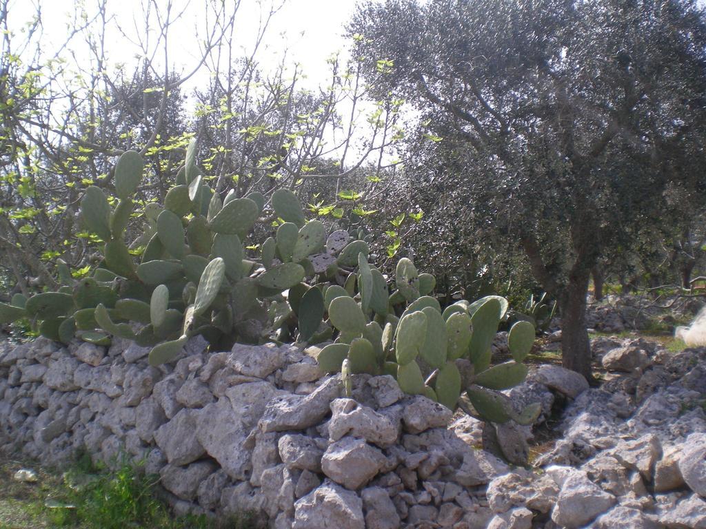 Il Giardino Castro (Lecce) Exterior photo